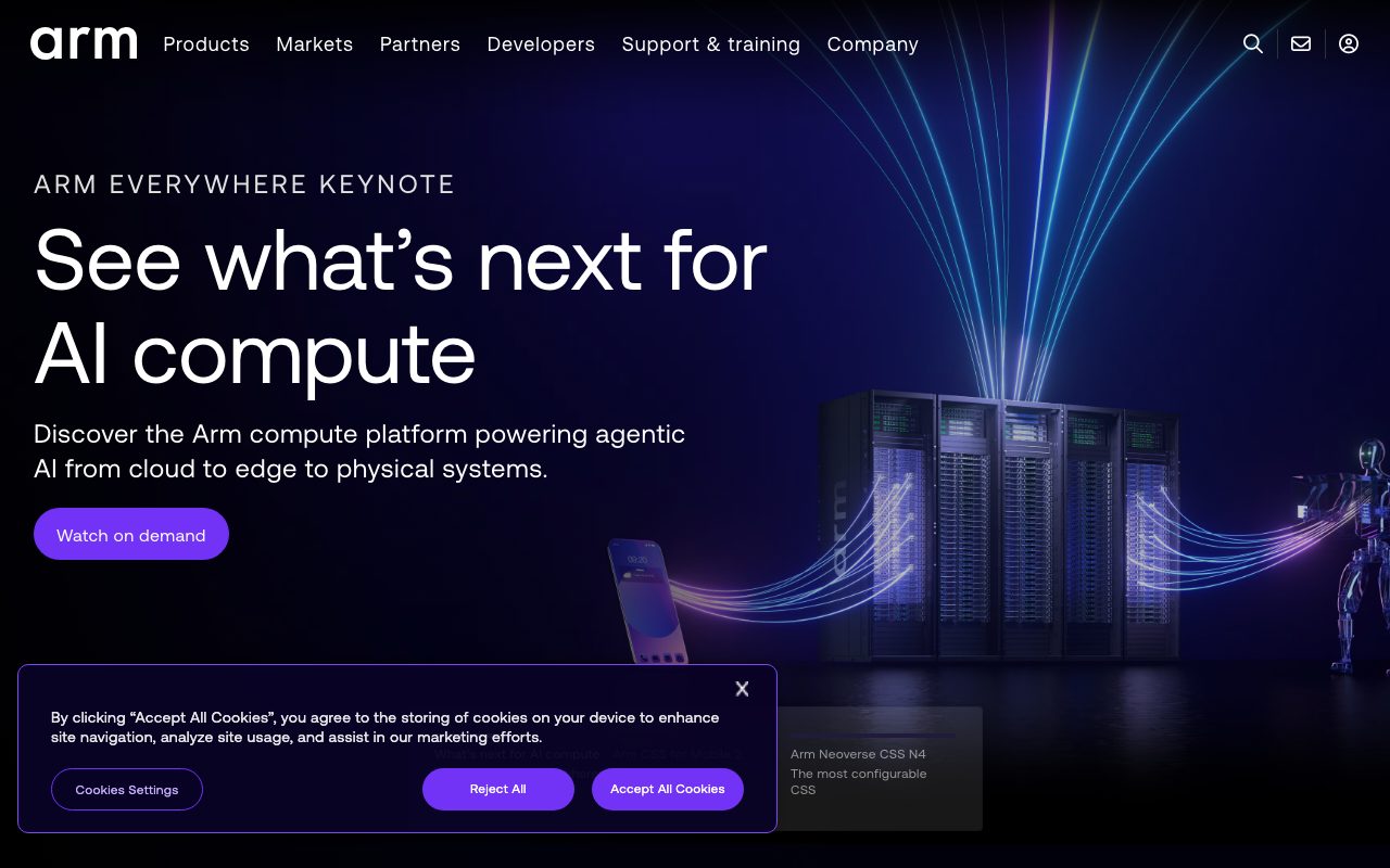 DreamBig Semiconductor website