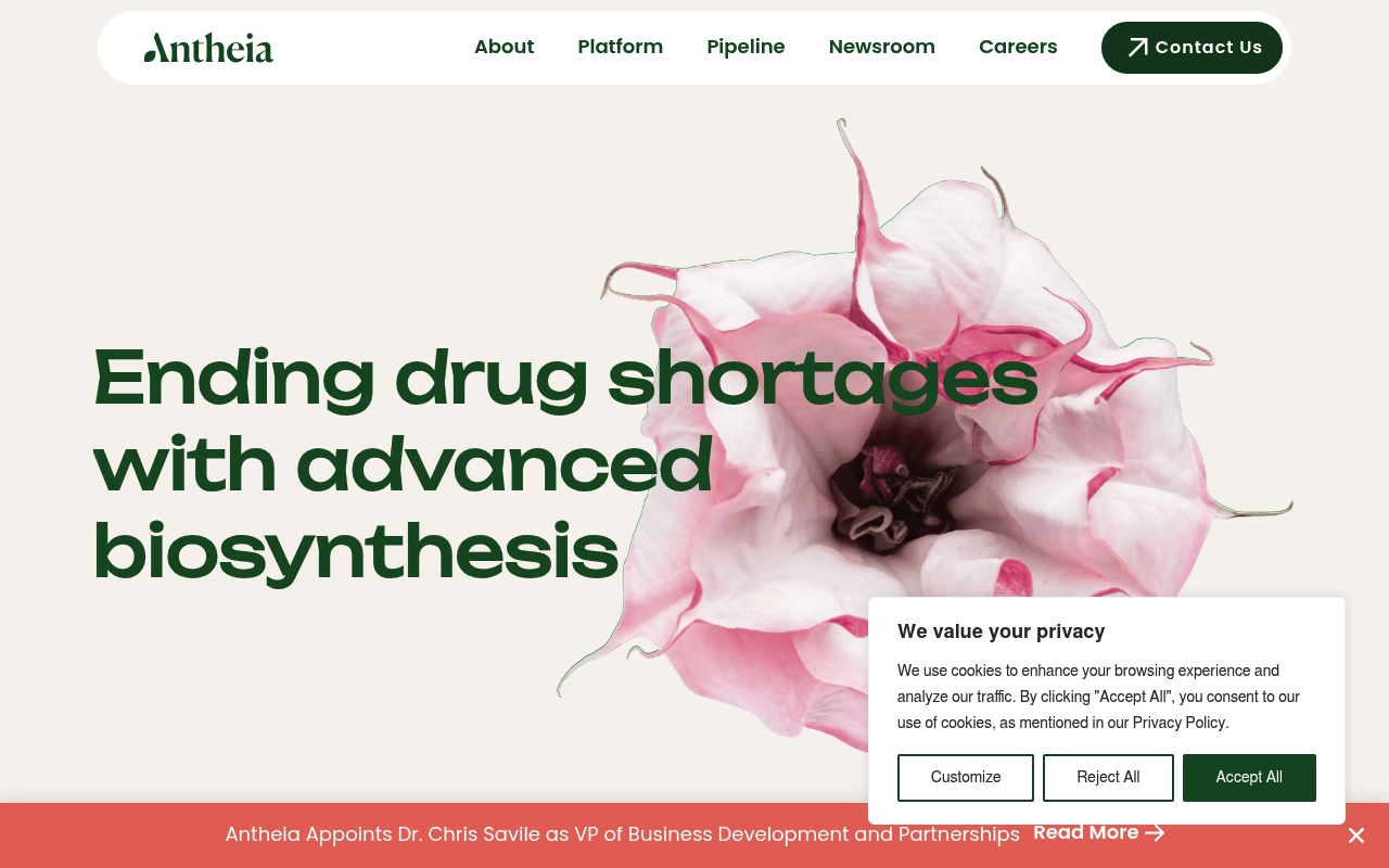 Antheia website