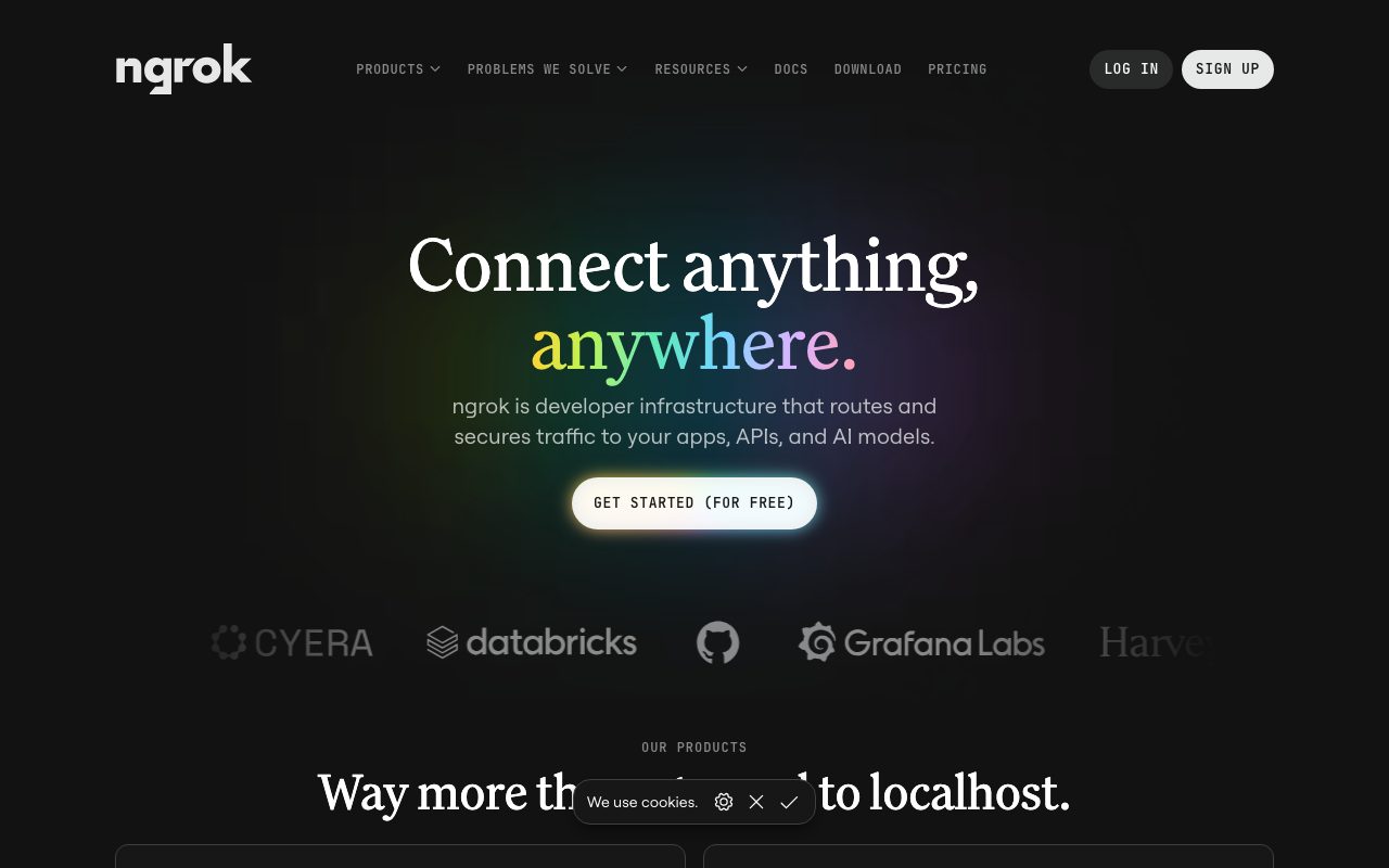 Ngrok website
