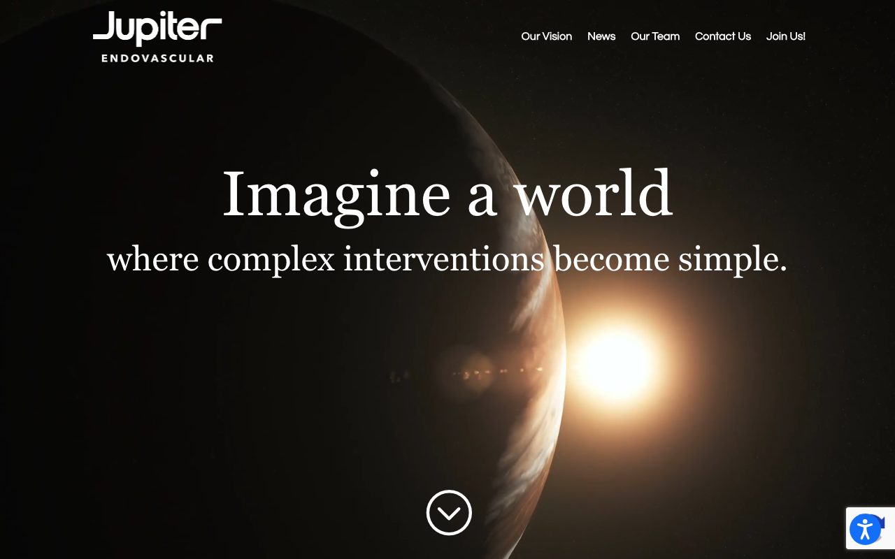 Jupiter Endovascular website