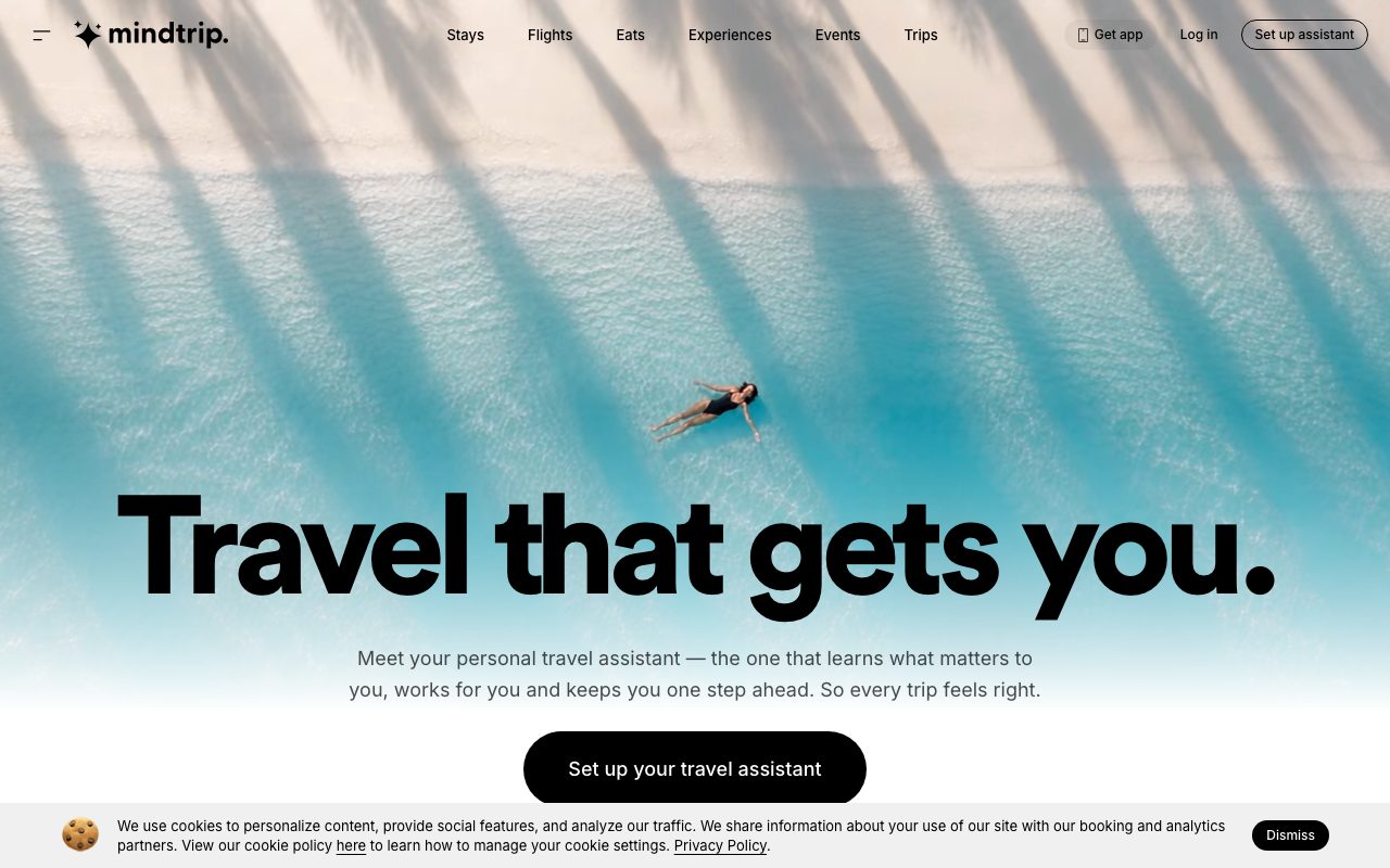 Mindtrip website