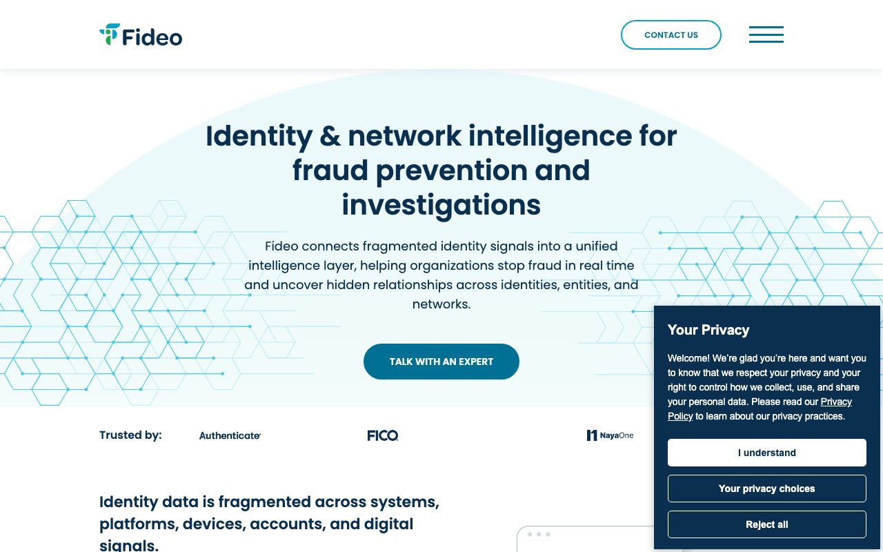 Fideo Intelligence website
