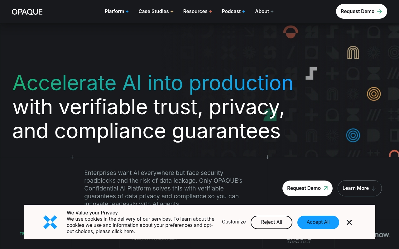 Opaque Systems website