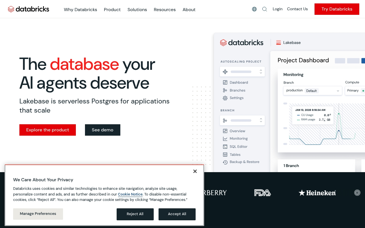Databricks website