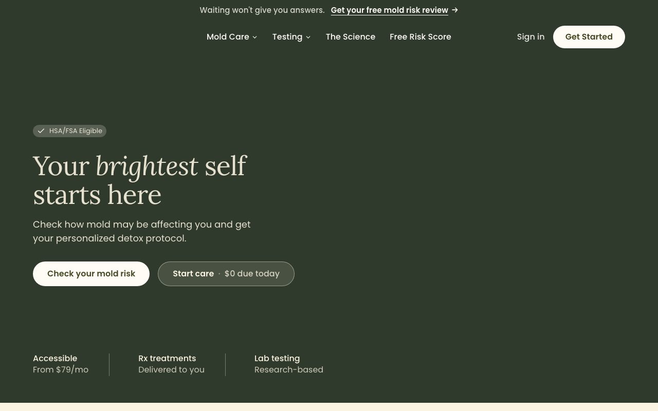 MoldCo website