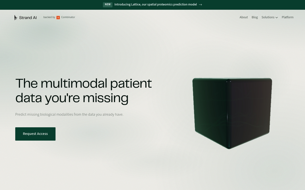 Strand AI website