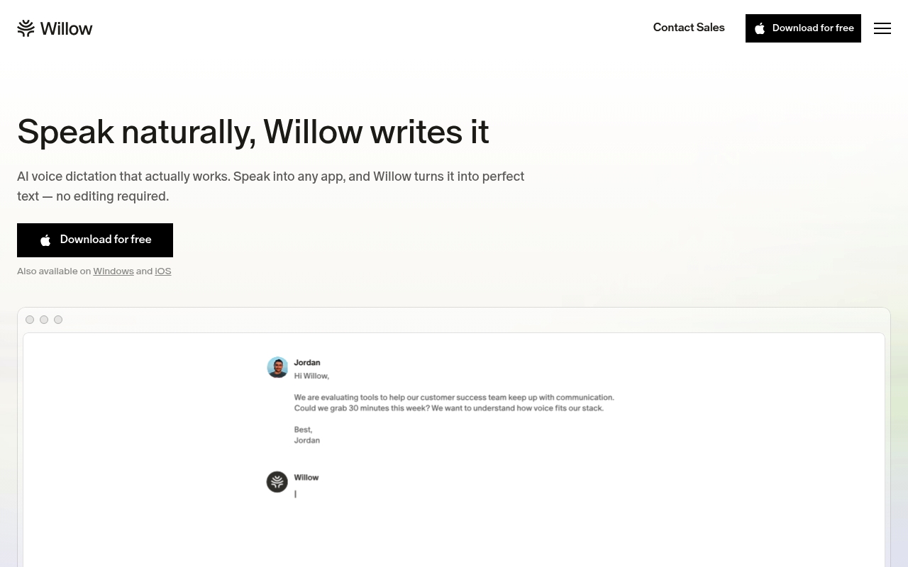 Willow Voice website