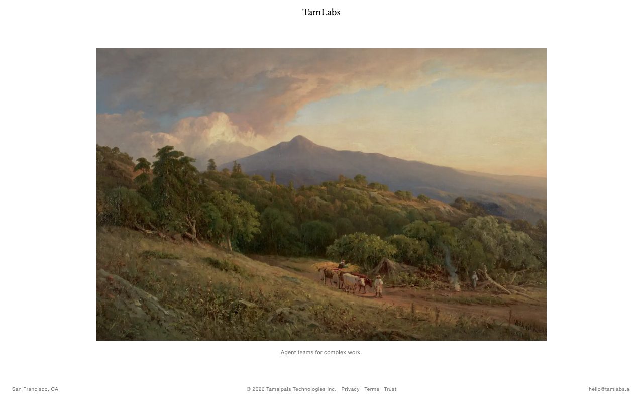 TAMLAB website