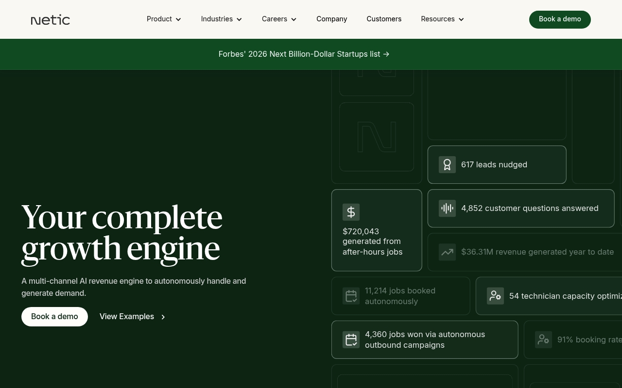 Netic website