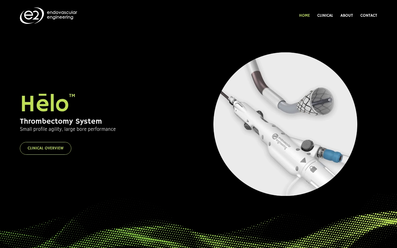 Endovascular Engineering website