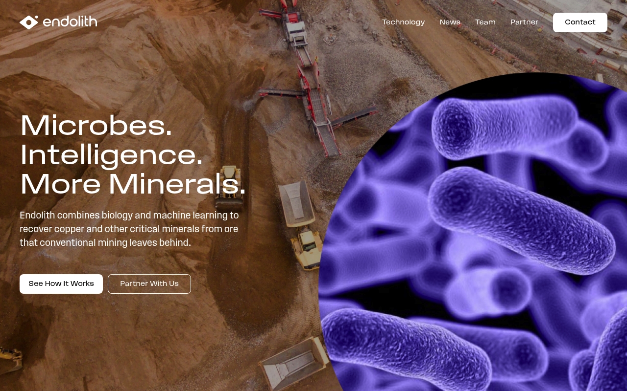 Endolith website