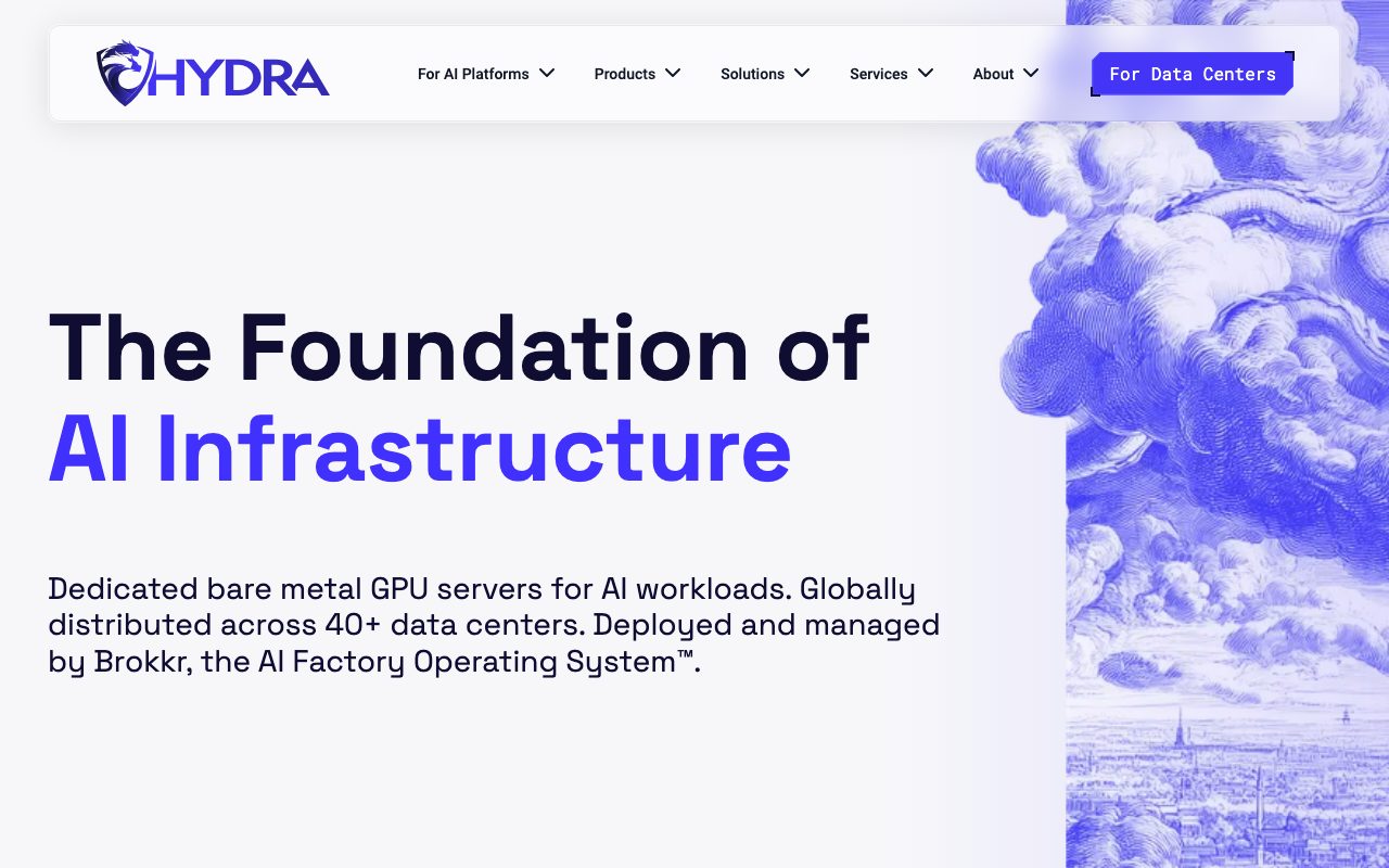 Hydra Host website