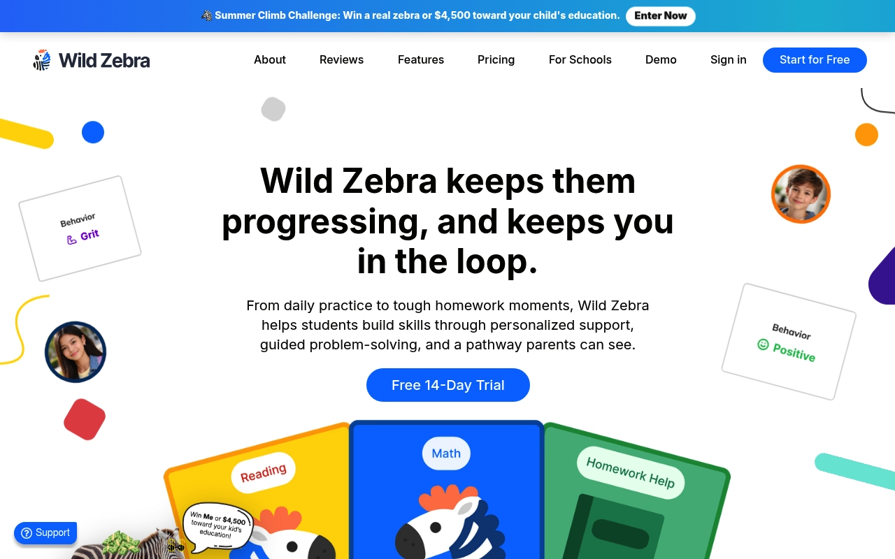 Wild Zebra website