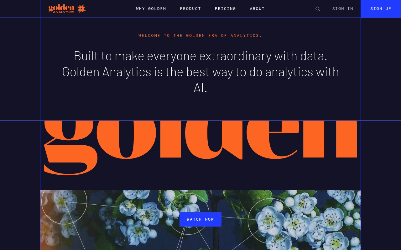 Golden Analytics website