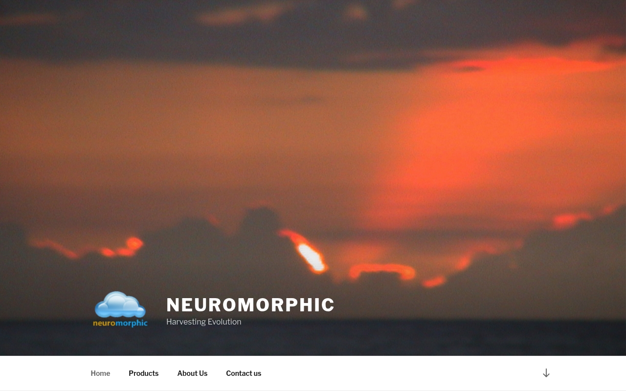 Neuromorphic website