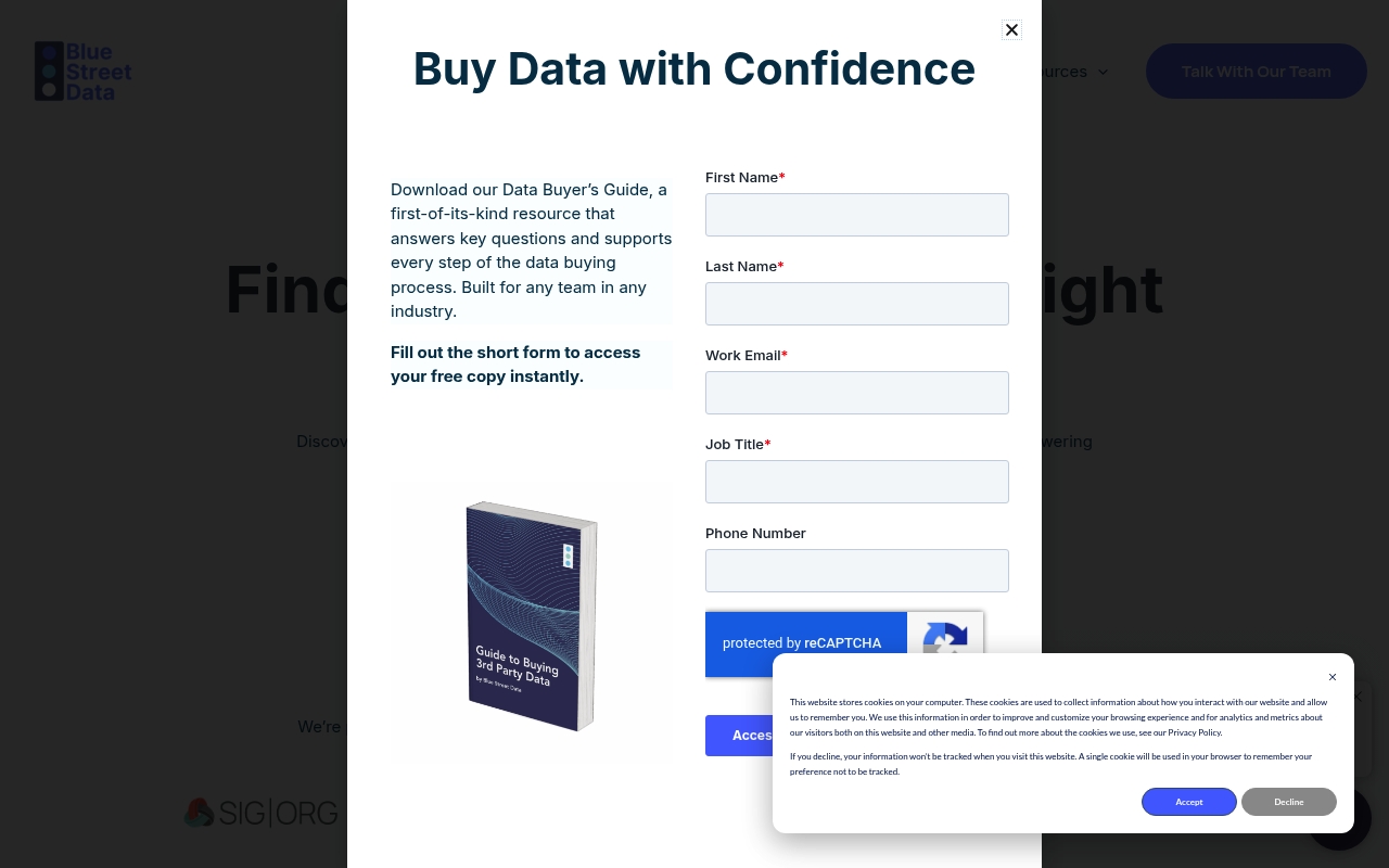 Blue Street Data website
