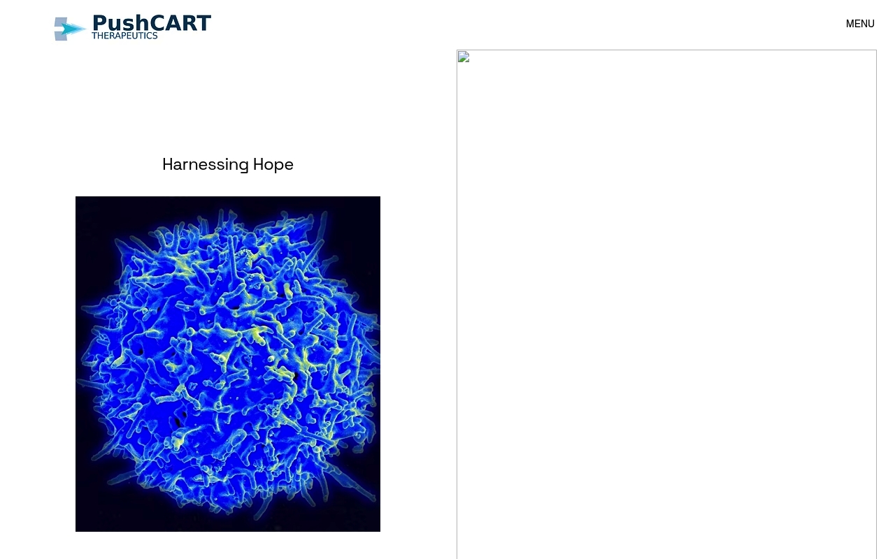 PushCART Therapeutics website