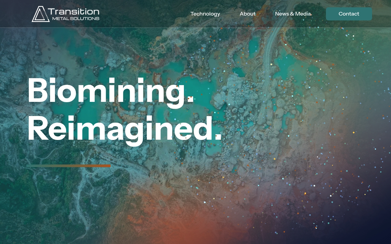 Transition Metal Solutions website