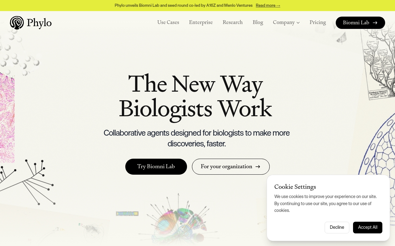 Phylo website
