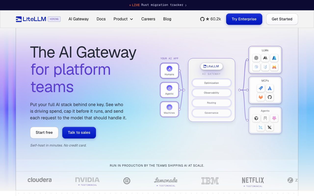 LiteLLM website