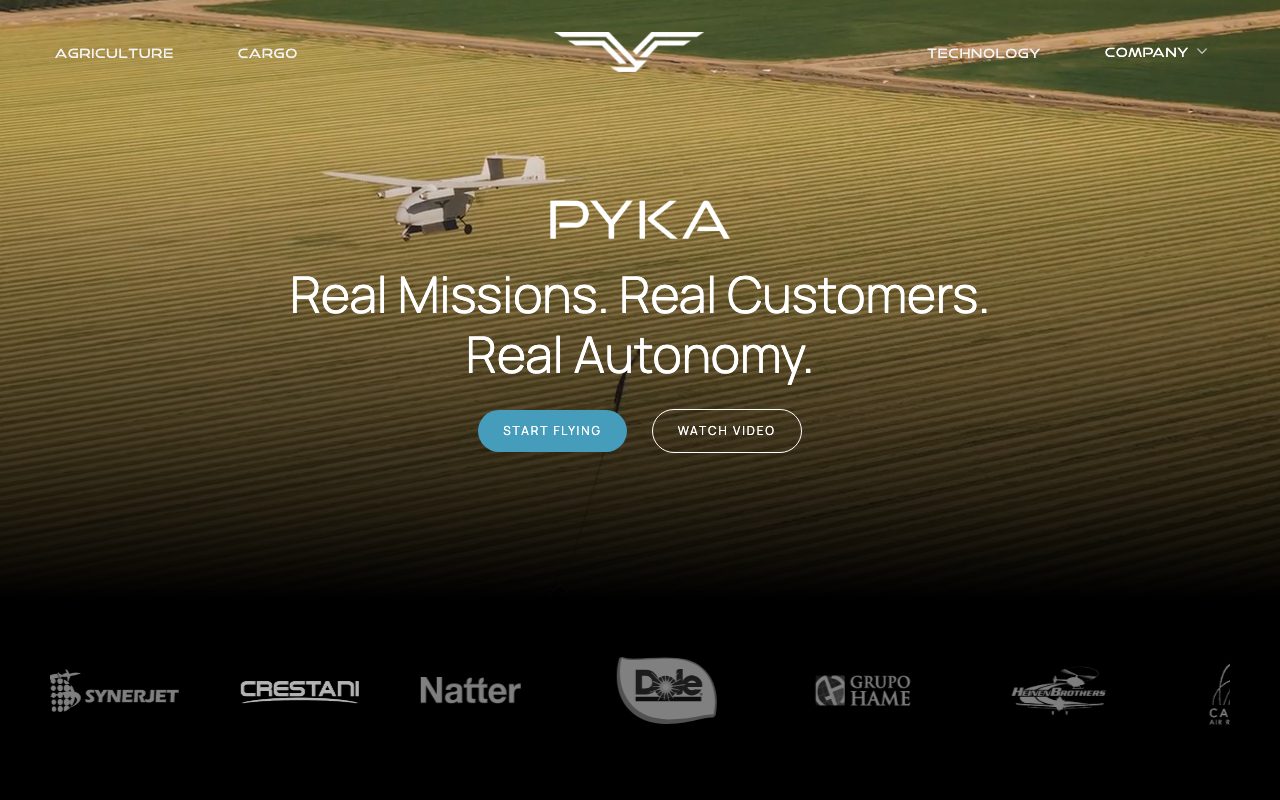 Pyka website