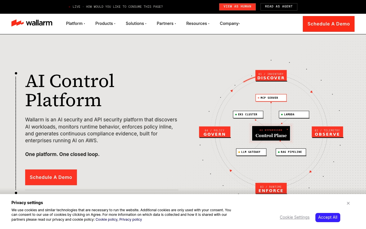 Wallarm website