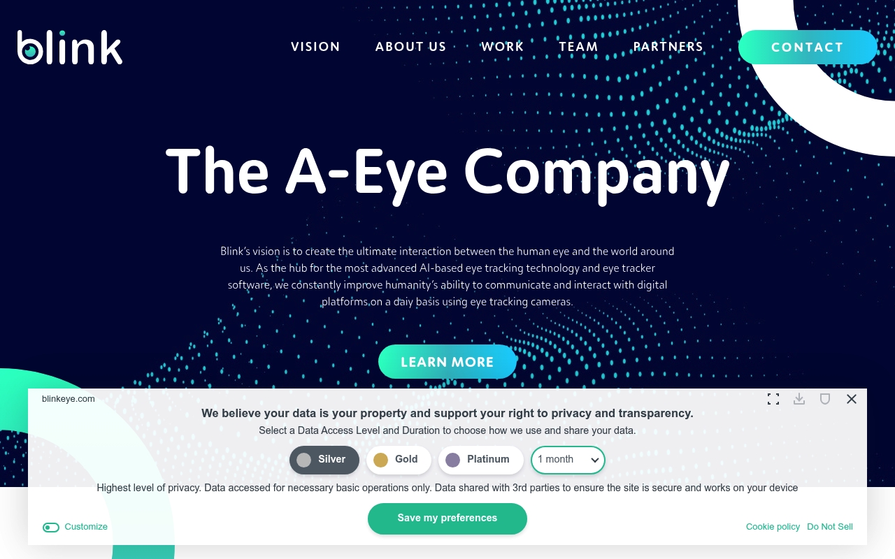 Blink Technologies website
