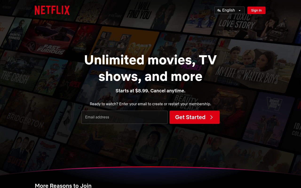 Netflix website