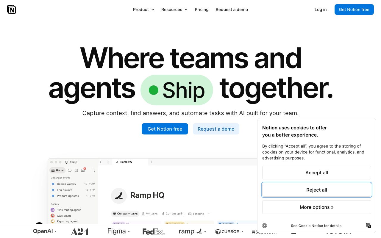 Notion website