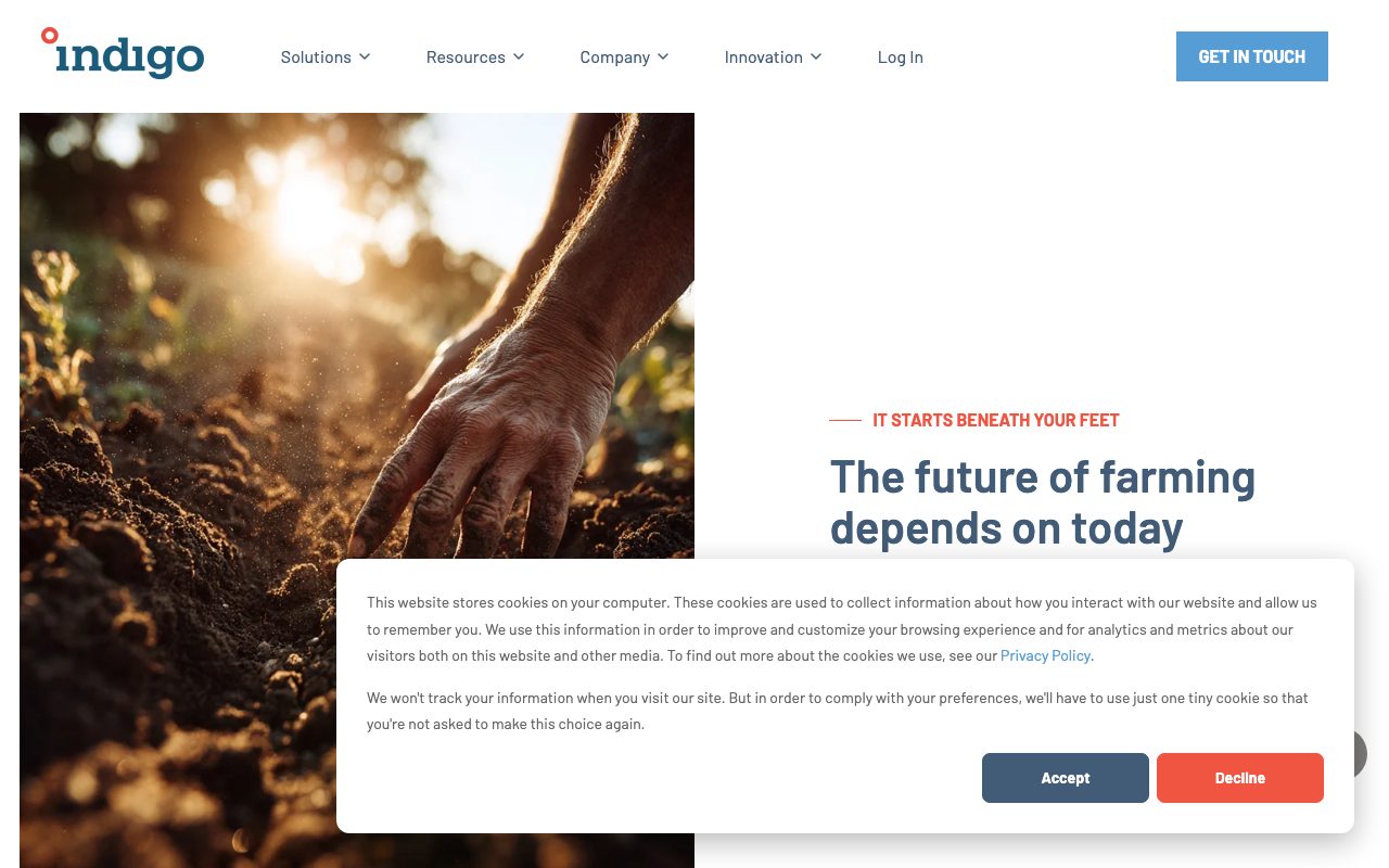 Indigo website