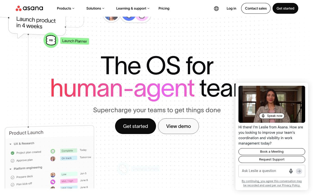 Asana website