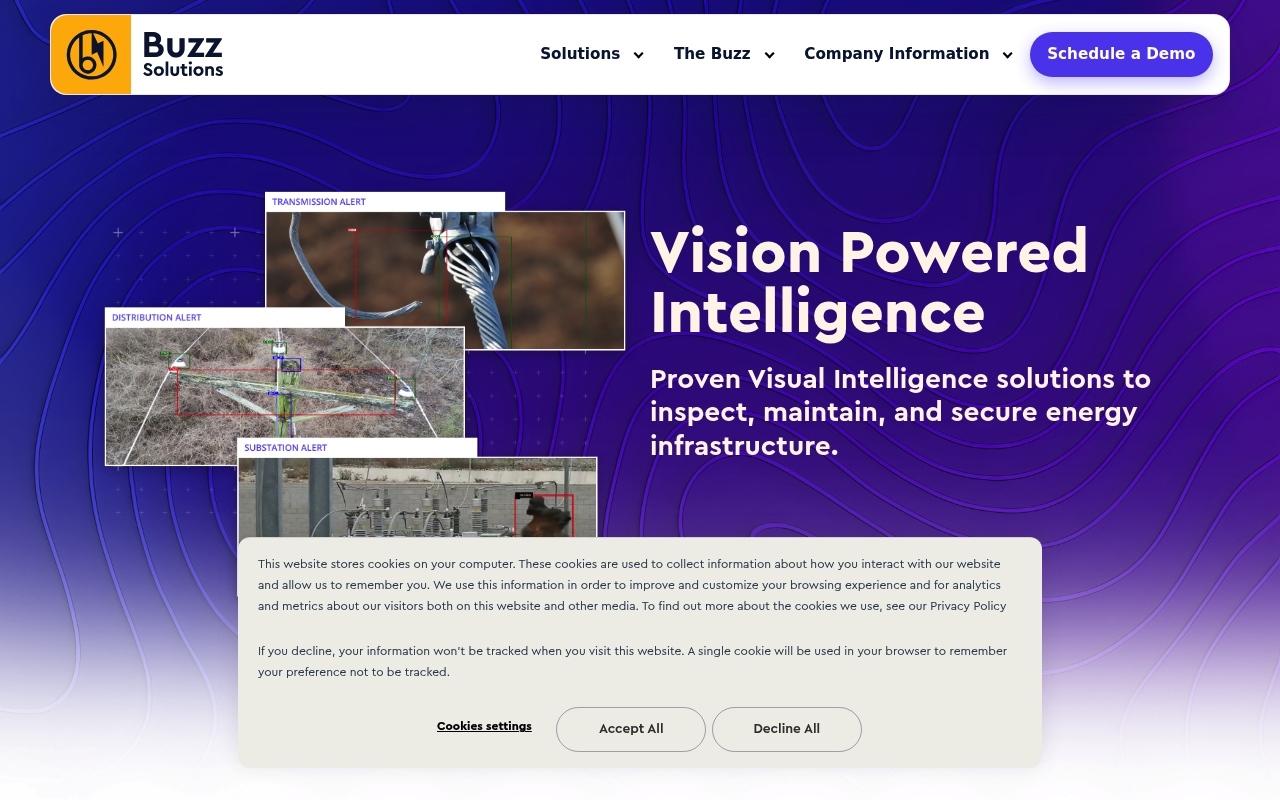 Buzz Solutions website