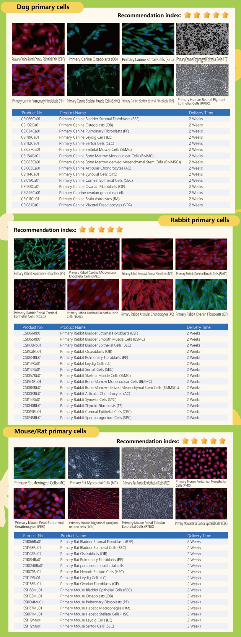 dog primary cells rabbit primary cells mouse rat primary cells