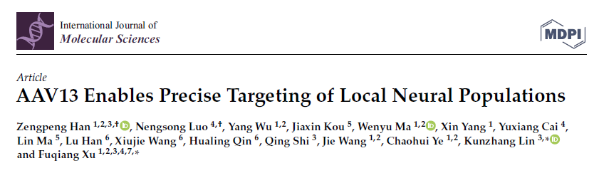 AAV13 Enables Precise Targeting of Local Neural Populations.