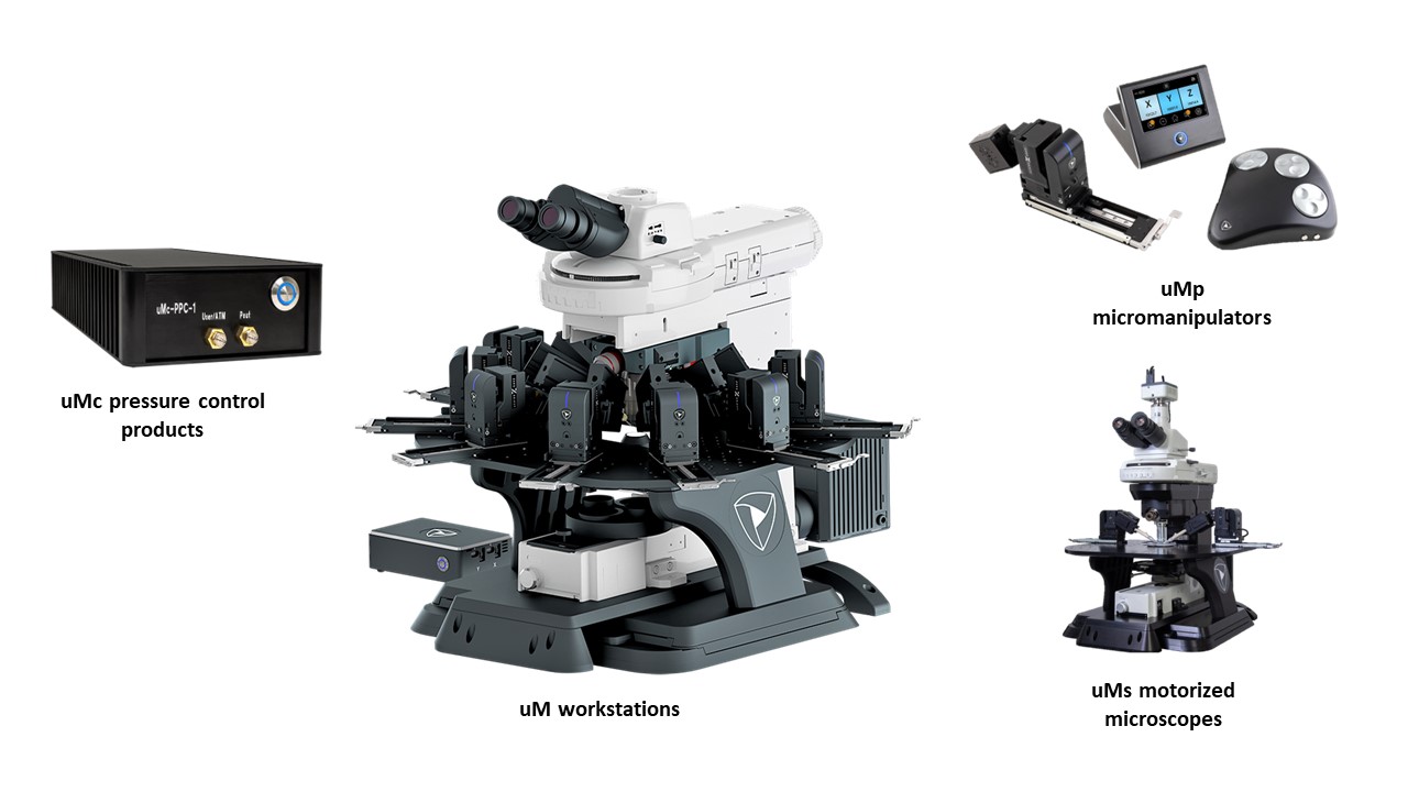 Sensapex Product Family