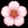 🌸