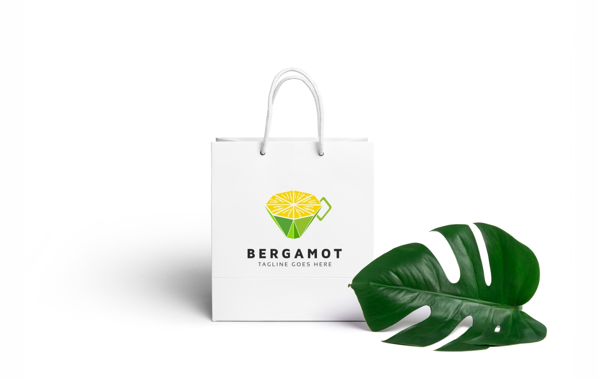Download Шаблон логотипа "Bergamot Logo Template" / Bergamot Logo Template - Шаблон логотипа на тему графика food fresh fruit green lime orange zest