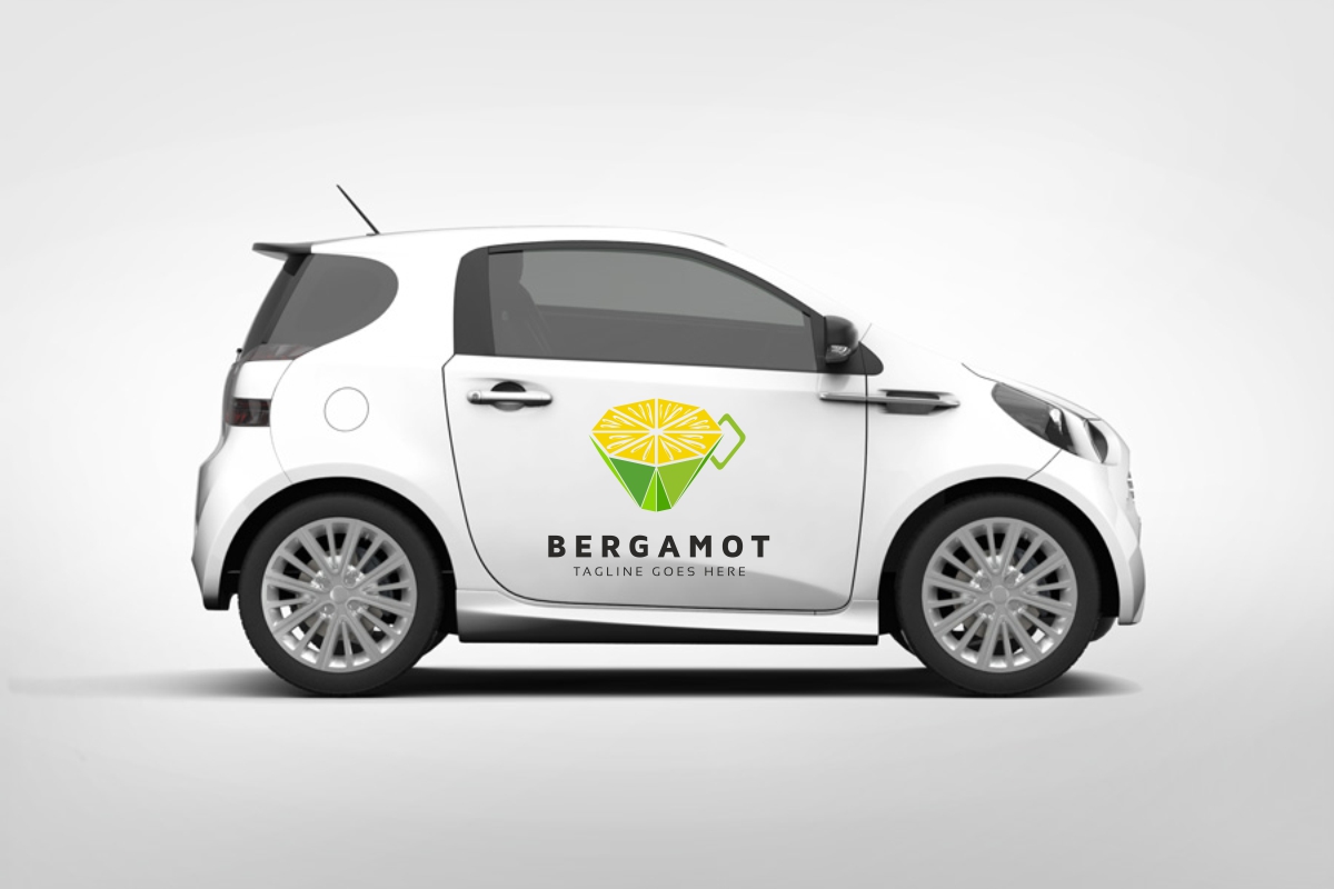 Download Шаблон логотипа "Bergamot Logo Template" / Bergamot Logo Template - Шаблон логотипа на тему графика food fresh fruit green lime orange zest