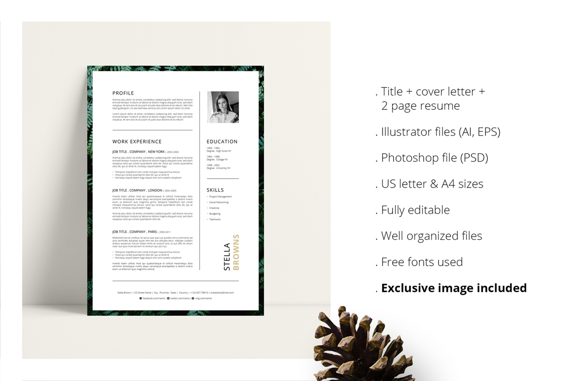 Download Резюме "FERNS CV + Cover Letter Resume Template" / FERNS CV + Cover Letter Resume Template - Резюме на тему графика resume cv template creative design a4 eu us letter cover curriculum vitae job dark fashion marketing clean simple minimalist minimalism