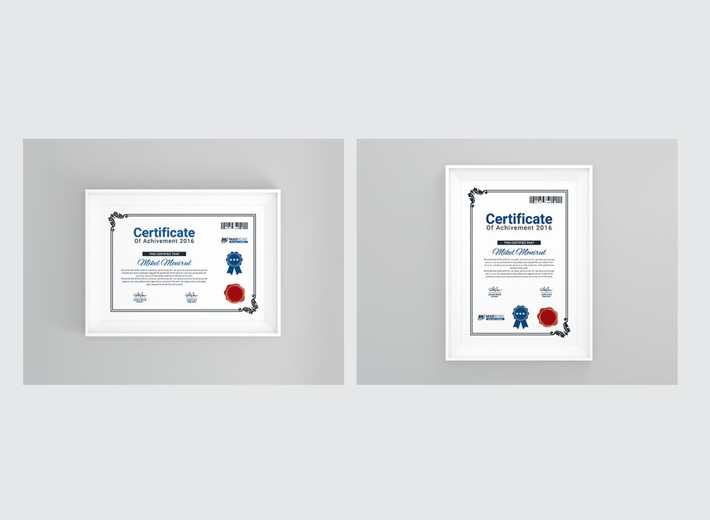 Download Шаблон сертификата "Training Center Certificate Template" / Training Center Certificate Template - Шаблон сертификата на тему графика achievement award background border certificate coupon diploma engraved engraving frame guilloche multipurpose pantone professional protected rosette secure security paper two
