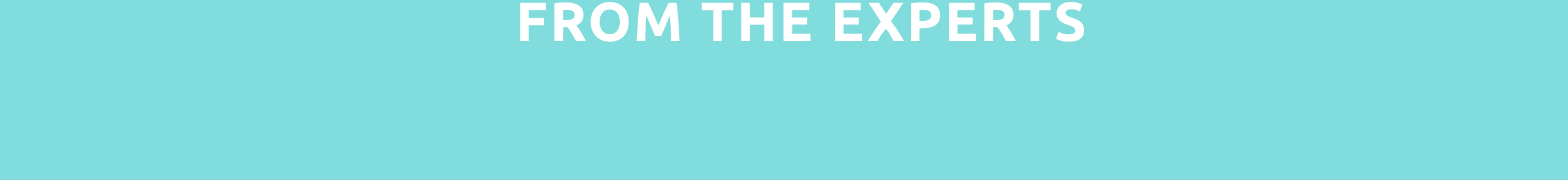 велосипедный магазин prestashop тема