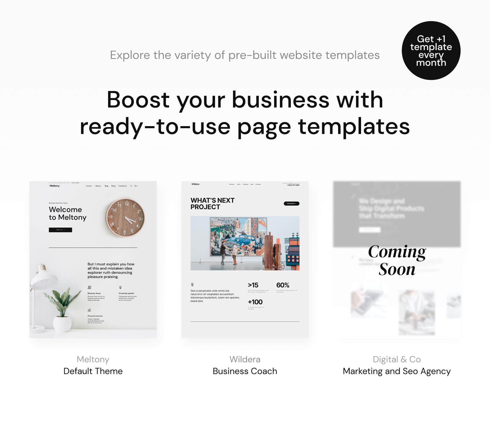 Meltony - Minimalist for Any Businesses WordPress Theme