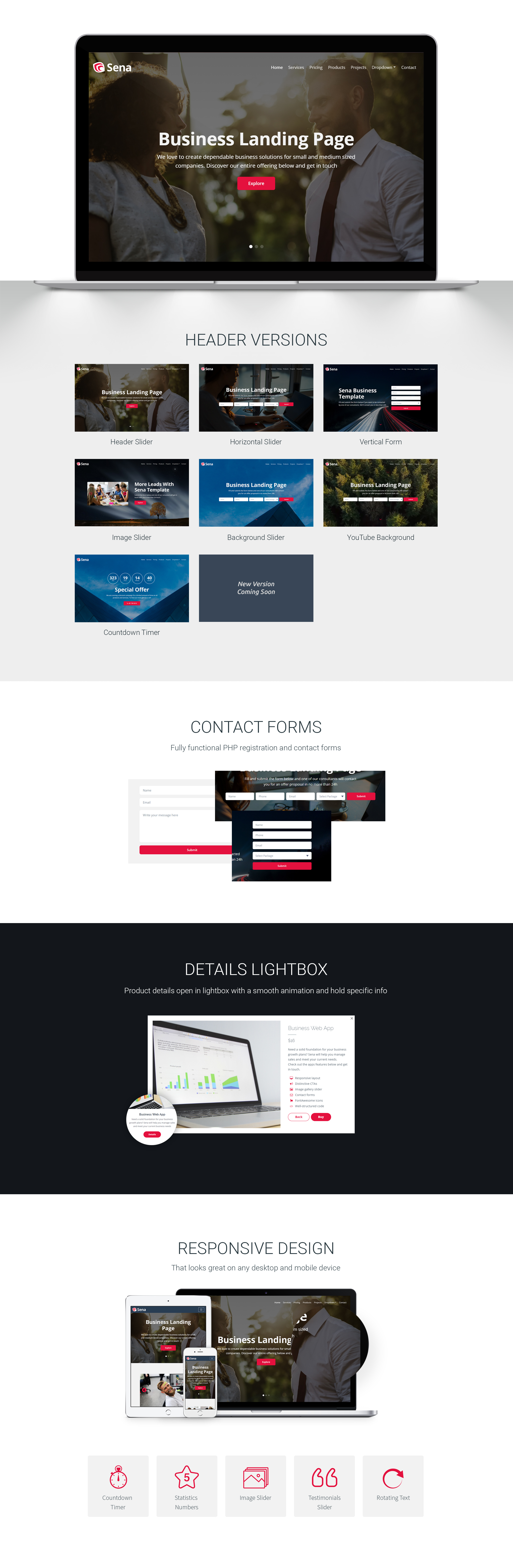 шаблон бизнес-целевой страницы
