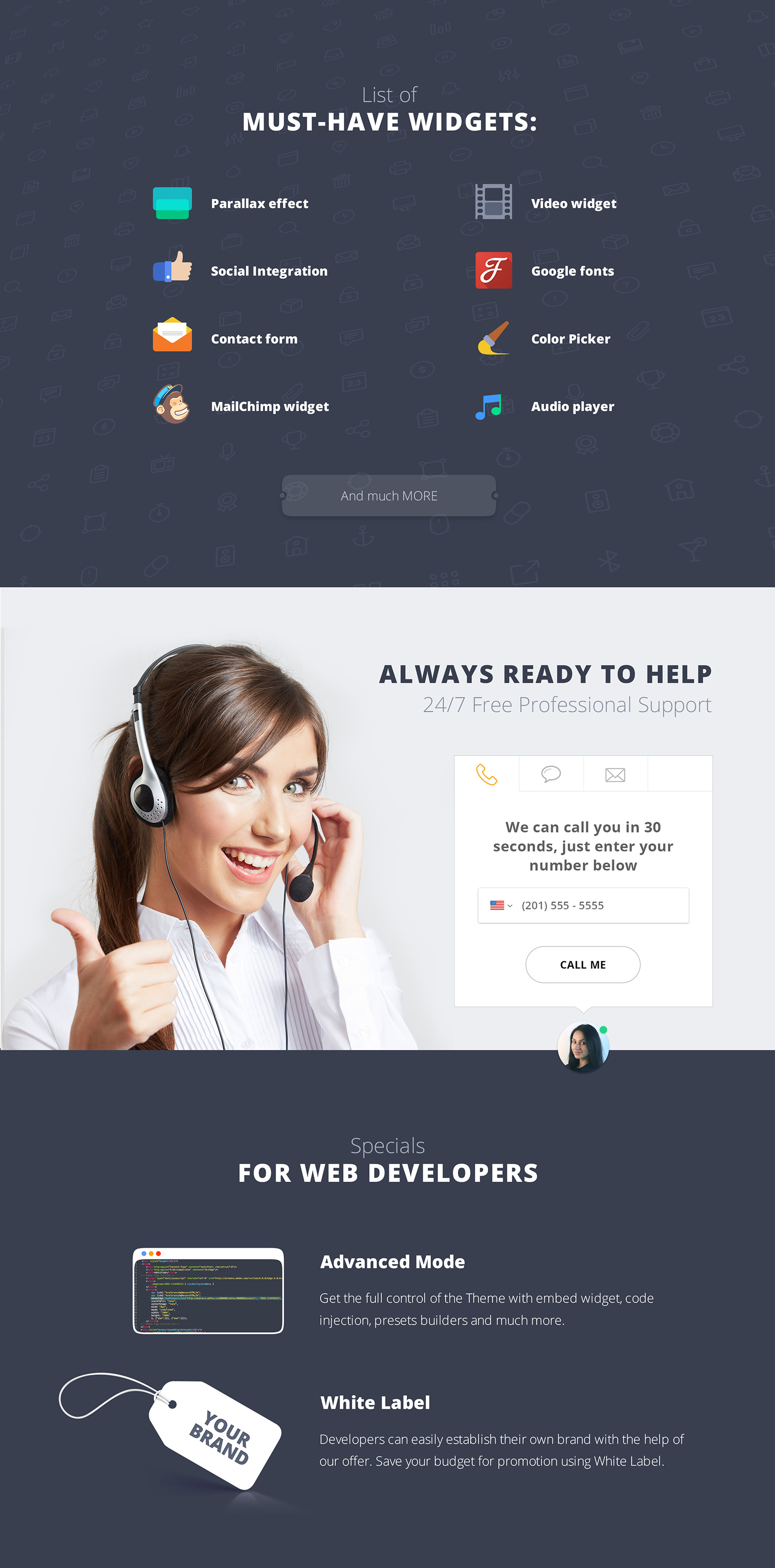 Zoom Express - Delivery Landing Page Template
