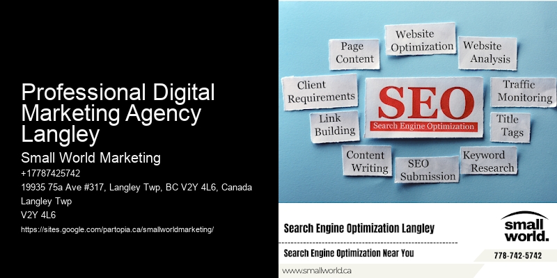 Professional Digital Marketing Agency Langley