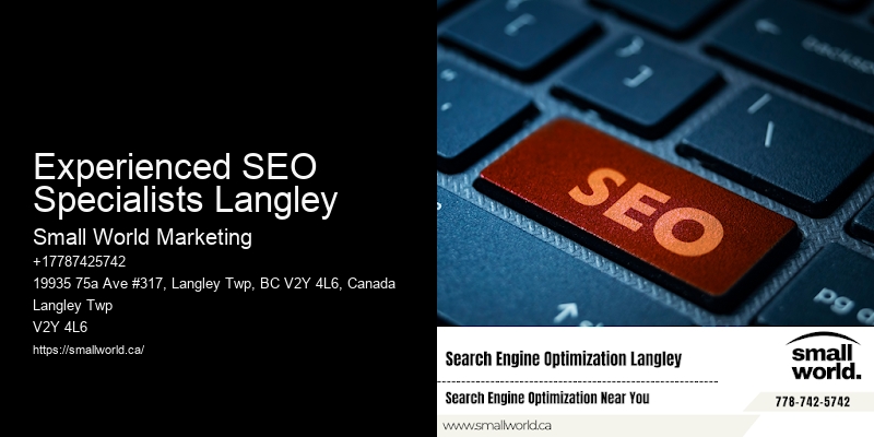 Experienced SEO Specialists Langley