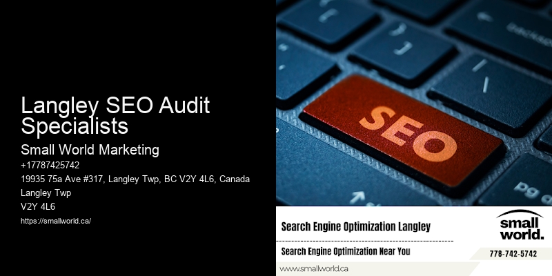 Langley SEO Audit Specialists