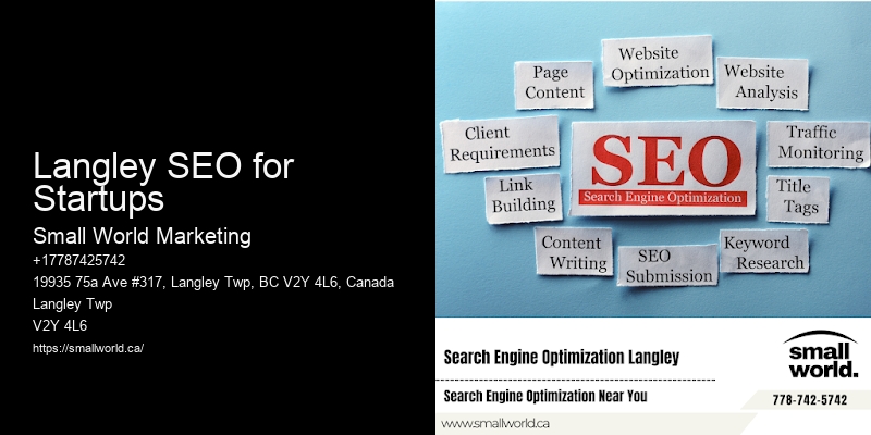 Langley SEO for Startups