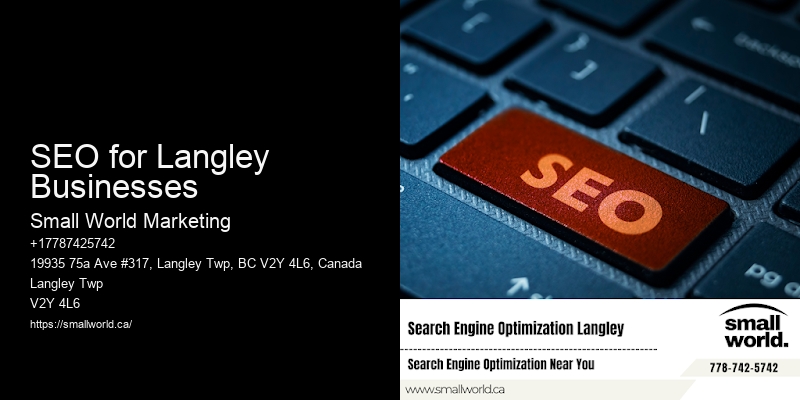 SEO for Langley Businesses