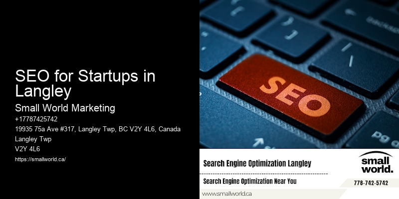 SEO for Startups in Langley